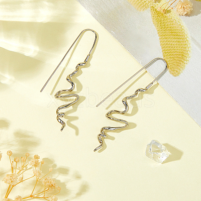 1 Pair Brass Dangle Earrings EJEW-HS0001-29P-1