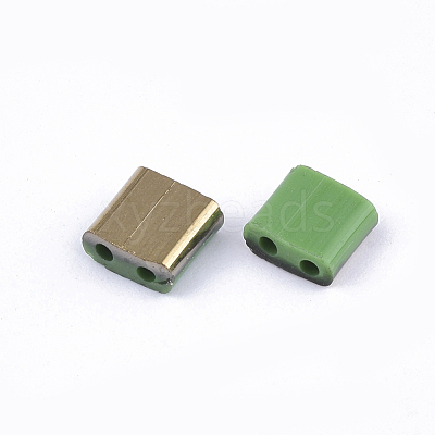 FGB 2-Hole Glass Seed Beads X-SEED-S031-L-047-G-1