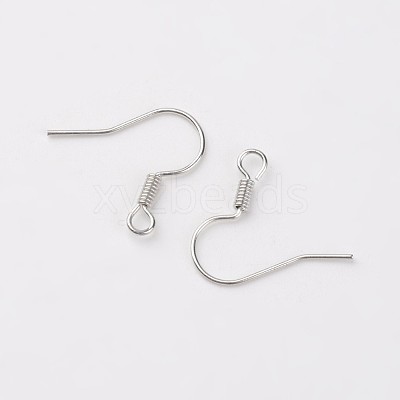 Iron Earring Hooks E133-S-1