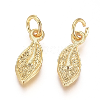 Electroplated Alloy Charms PALLOY-G267-14G-1