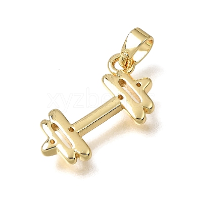 Brass Pendants KK-CBAA632-10G-1