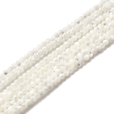 Natural White Shell Beads X-G-N0190-11-2mm-1