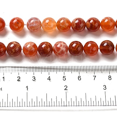 Natural Fire Crackle Agate Beads Strands G-G212-10mm-10-1