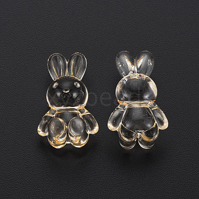 Transparent Acrylic Beads LS-MACR-S373-81-B04-1