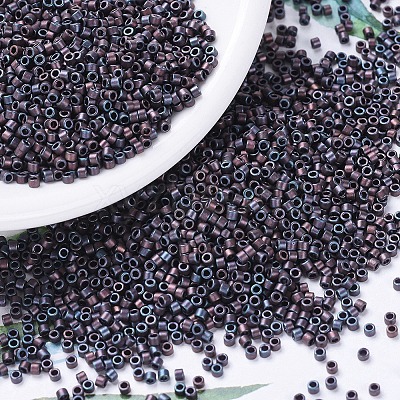 MIYUKI Delica Beads Small X-SEED-J020-DBS0312-1