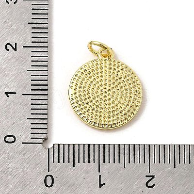 Brass Enamel Pendants KK-I378-09G-1