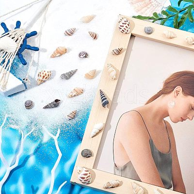 140Pcs 2 Style Natural Shell Beads SSHEL-FH0001-08-1