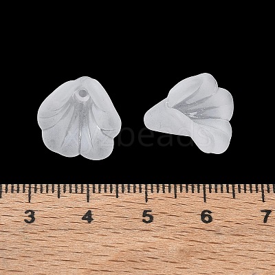 Acrylic Frosted Bead Caps AC-CBA81FF-04A-1