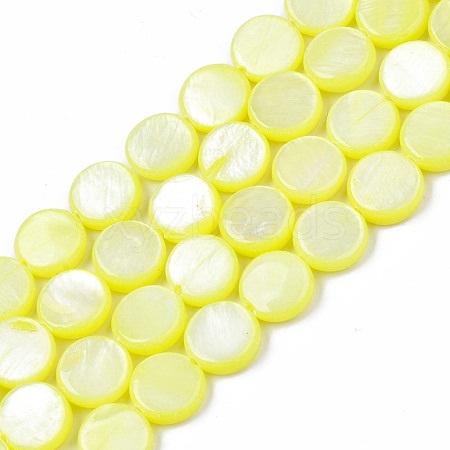 Freshwater Shell Beads Strands SHEL-T009-B16-01-1