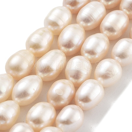 Natural Cultured Freshwater Pearl Beads Strands PEAR-P062-18-1