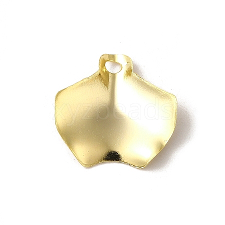 Brass Pendants KK-P259-39G-1