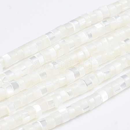 Natural Trochid Shell/Trochus Shell Beads Strands X-SSHEL-L016-13A-1