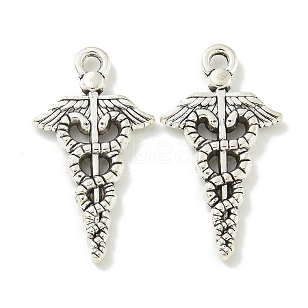 Tibetan Style Alloy Pendants TIBE-I026-6007AS-1