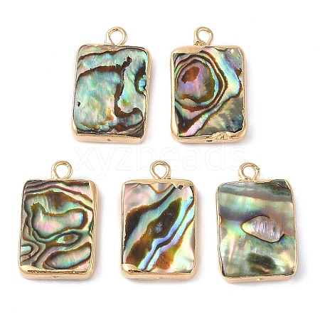 Natural Paua Shell Pendants SHEL-P017-16G-1