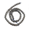 Natural Labradorite Beads Strands G-S333-6mm-035-01-5