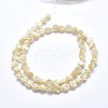 Shell Bead Strands SSHEL-P015-01B-6mm-2