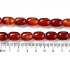 Barrel Shaped Gemstone Dyed Natural Red Agate Stone Beads Strands G-S114-05-2