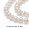 Natural Cultured Freshwater Pearl Beads Strands PEAR-E002-25-01-2