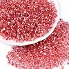 6/0 Baking Paint Transparent Glass Seed Beads SEED-N006-06F-1