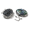 Paua Shell Box Clasp G-C104-02H-P-2