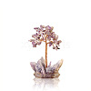 Natural Amethyst Display Decorations PW-WG2F573-01-5