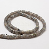 Natural Labradorite Beads Strands G-O144-06-3