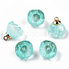Transparent Spray Painted Glass Charms GLAA-N035-031-C02-2