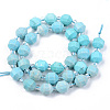 Natural Howlite Beads Strands G-R482-27-10mm-2