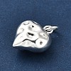 925 Sterling Silver Pendants FIND-Z069-01S-3