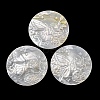 Natural White Shell Carved Cabochons SHEL-G024-01C-1
