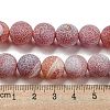 Natural Weathered Agate Beads Strands G-P538-A01-13-5
