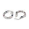 Cubic Zirconia Hoop Earrings EJEW-Z019-23C-P-2