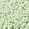 Opaque Colours Luster Glass Seed Beads SEED-B001-01A-10-3