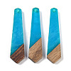 Resin & Wood Pendants WOOD-F015-05G-1