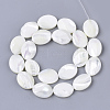 Natural Trochid Shell/Trochus Shell Beads Strands SHEL-T013-006A-02-2