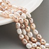 Natural Cultured Freshwater Pearl Beads Strands PEAR-P062-32E-2