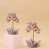 Natural Amethyst Display Decorations PW-WG2F573-01-2