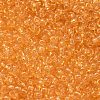 MIYUKI Round Rocailles Beads X-SEED-G008-RR0132-2