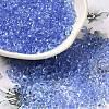 Transparent Colours Glass Seed Beads X1-SEED-P006-02A-05-1
