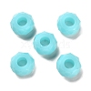 Resin European Beads RESI-B020-06C-1