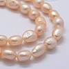 Natural Cultured Freshwater Pearl Beads Strands PEAR-K004-03B-01-3