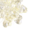 Baking Paint Transparent Glass Beads DGLA-N022-02-2