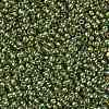TOHO Round Seed Beads X-SEED-TR11-1007-2