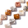 Natural Crazy Lace Agate Beads Strands G-L239-15-1