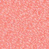 11/0 FGB Grade A Transparent Glass Seed Beads X-SEED-N001-F-233-2
