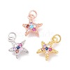 Brass Micro Pave Cubic Zirconia Charms ZIRC-F106-06-1