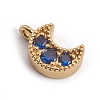 Brass Micro Pave Cubic Zirconia Charms ZIRC-L091-039A-2