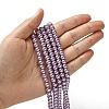 Eco-Friendly Dyed Glass Pearl Beads Strands HY-A008-6mm-RB056-4