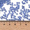 8/0 Glass Seed Beads X1-SEED-A011-3mm-146-4
