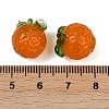 Handmade Lampwork Beads X-LAMP-S070-02B-4